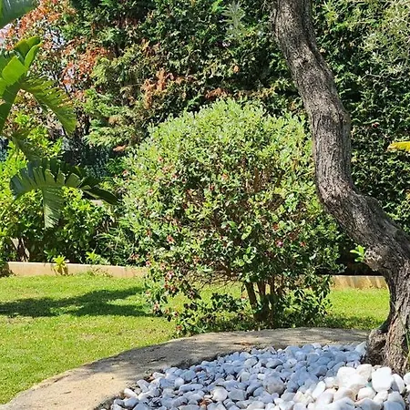 Bed & Breakfast D'hotes Casa Lucia Furiani